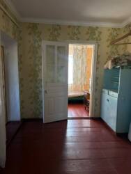 ������ ������� �.�����������. �����,���� �����,��� ���� 24