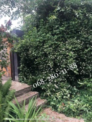 Родаж дачі в с Ходосівка! СТ Дубки, Ходосіївська ОТГ. Пагорби, природа, закрита територія! 6 сот., 190м.кв! фото 16 Родаж дачі в с Ходосівка! СТ Дубки, Ходосіївська ОТГ. Пагорби, природа, закрита територія! 6 сот., 190м.кв! фото 16