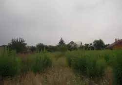   ,    39    !  16