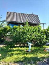    ., (  6).30    4