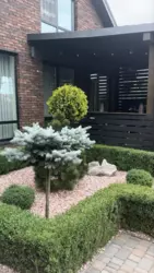 ������! �������, �������, � ������ ��������! 110�.��, 3 �����! �������� ������, ��������, ���! ���� 19