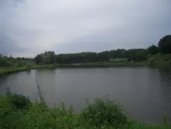   ,    39    !  19