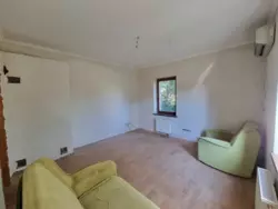    284.    !  6