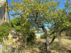 ������ ���� �� ������,�������.ϳ����,�����,���,������� ���� 15