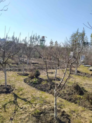 ������ ���� �� ϳ���,����������.������,�����,�����,��� ���� 7