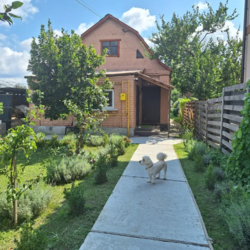 Без % продам будинок с.Крюківщина. Газ,молодий сад,камін фото 6 Без % продам будинок с.Крюківщина. Газ,молодий сад,камін фото 6