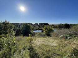 Продається будинок на земельній ділянці 27 соток у с. Велика Мотовилівка фото 6 Продається будинок на земельній ділянці 27 соток у с. Велика Мотовилівка фото 6