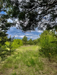 ������ ���� 10 �����, 32 �� �� ����. � �.���������,����������� �-�. ���� 7