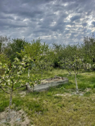 ������ ���� 10 �����, 32 �� �� ����. � �.���������,����������� �-�. ���� 3