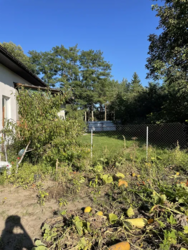 Продається будинок на земельній ділянці 27 соток у с. Велика Мотовилівка фото 3 Продається будинок на земельній ділянці 27 соток у с. Велика Мотовилівка фото 3