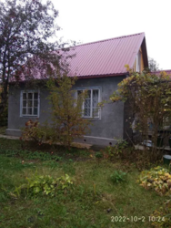    -3. ,,,   1