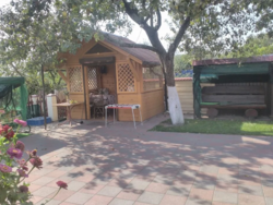 ������ ������� �.�������. 17 �����,����,���,������� �����,�����,����� ���� 5