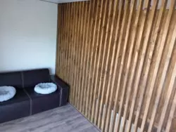 🏡 !       ! , , !  16