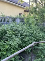  90.,   ,  , ,  !  2