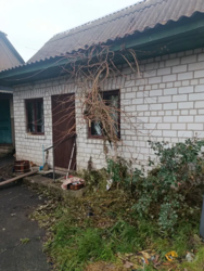 Продам будинок с.Андріївка. Баня,60 соток,ванна,газ фото 10 Продам будинок с.Андріївка. Баня,60 соток,ванна,газ фото 10