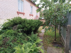 ��������� ��������� ������� � ��� ������.���, �����, �����,���,����� ���� 1