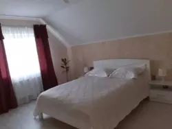      ! , , , !  17