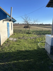 Продам будинок с.Наливайківка. Погріб,літня кухня,газ фото 3 Продам будинок с.Наливайківка. Погріб,літня кухня,газ фото 3