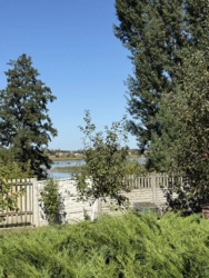 Продам будинок Макарів.Гараж,погріб,баня,теплиця,альтанка фото 4 Продам будинок Макарів.Гараж,погріб,баня,теплиця,альтанка фото 4