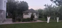  -,   ! , , !  2