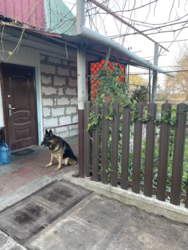 ������ ������� �.�������.���,��,������,��� ���� 14