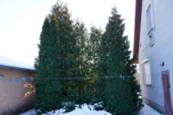 ������ ������� � �.���������.ϳ����,���,25 �����,�����,���� ����� ���� 7