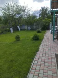  -,   ! , , !  15