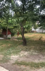 ������ ���� �.�������,���������� ���������.�����,���,����� ���� 13