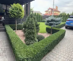 ������! �������, �������, � ������ ��������! 110�.��, 3 �����! �������� ������, ��������, ���! ���� 18