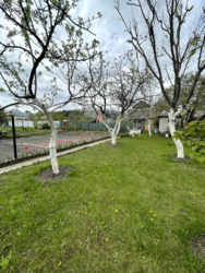 ������ ������� ��� ��� �� �����,����������� . ���,������� ���,������ ���� 8