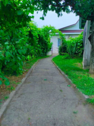 Продам будинок с.Красилівка. Газ,34 сотки,погріб,альтанка,мангал фото 4 Продам будинок с.Красилівка. Газ,34 сотки,погріб,альтанка,мангал фото 4