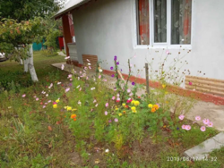 ��������� ���������� �������-���� ���������� �����, �. ���������� ���� 1