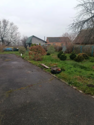 Продам будинок с.Андріївка. Баня,60 соток,ванна,газ фото 3 Продам будинок с.Андріївка. Баня,60 соток,ванна,газ фото 3