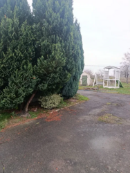 Продам будинок с.Андріївка. Баня,60 соток,ванна,газ фото 5 Продам будинок с.Андріївка. Баня,60 соток,ванна,газ фото 5