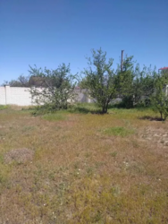 Продам будинок с.Лебедівка.12 соток,газ,бойлер фото 3 Продам будинок с.Лебедівка.12 соток,газ,бойлер фото 3