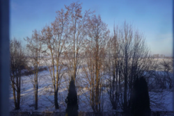 ������ ������� � �.���������.ϳ����,���,25 �����,�����,���� ����� ���� 8