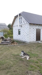 ������ ������� �.����,�� �����������.������,���,��������,�� �������� ���� 1