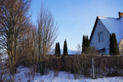 ������ ������� � �.���������.ϳ����,���,25 �����,�����,���� ����� ���� 2