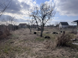 ������ ������� � �.�����ʼ�.���,�����,�����,������,��� ���� 14