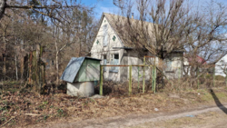 ������ ���� �.������,������������ �����.�������,���,������ ���� 1