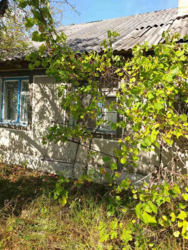 Продам будинок с.Плахтянка. 20 соток,газ,сад,город фото 3 Продам будинок с.Плахтянка. 20 соток,газ,сад,город фото 3