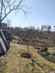 ������ ���� �� ϳ���,����������.������,�����,�����,��� ���� 3