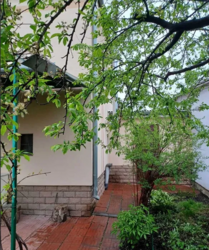 Продам будинок с.Проців, СТ Перемога.Гараж,альтанка,сад фото 16 Продам будинок с.Проців, СТ Перемога.Гараж,альтанка,сад фото 16