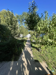 Продається будинок на земельній ділянці 27 соток у с. Велика Мотовилівка фото 5 Продається будинок на земельній ділянці 27 соток у с. Велика Мотовилівка фото 5