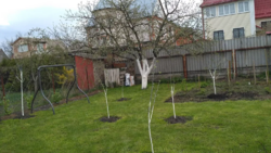 .Продам будинок в Зазим'я сади.Альтанка,підвал,сад фото 2 .Продам будинок в Зазим'я сади.Альтанка,підвал,сад фото 2