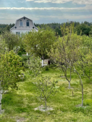 ������ ���� 10 �����, 32 �� �� ����. � �.���������,����������� �-�. ���� 5