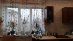 Продається будинок с. Яблунівка,КМ 'Яблунівські сади'.Гараж,гостьовий будинок,власна котельня фото 6 Продається будинок с. Яблунівка,КМ 'Яблунівські сади'.Гараж,гостьовий будинок,власна котельня фото 6