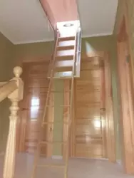      ! , , , !  14