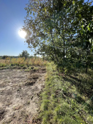 Продається будинок на земельній ділянці 27 соток у с. Велика Мотовилівка фото 4 Продається будинок на земельній ділянці 27 соток у с. Велика Мотовилівка фото 4