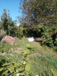 ������ ������� � �.������.��� ��������,������,�����, ���. ������ ���� 6